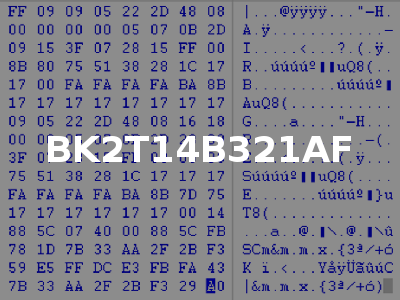 BK2T14B321AF