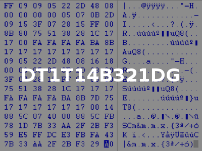 DT1T14B321DG