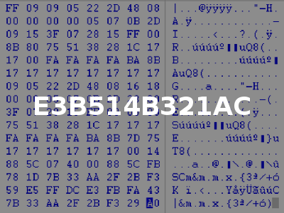 E3B514B321AC