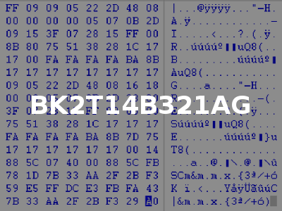 BK2T14B321AG