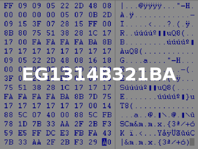 EG1314B321BA