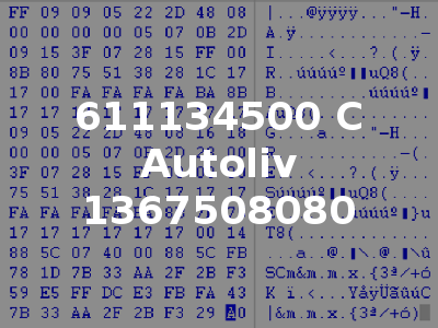 611134500 C Autoliv 1367508080