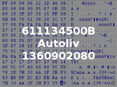 611134500B Autoliv 1360902080