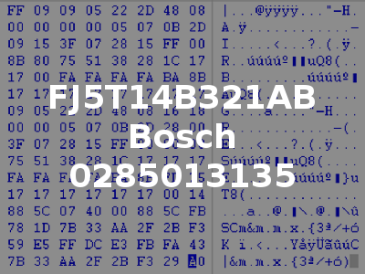 FJ5T14B321AB Bosch 0285013135