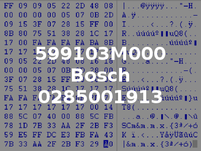 599103M000 Bosch 0285001913
