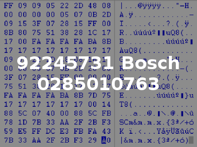 92245731 Bosch 0285010763