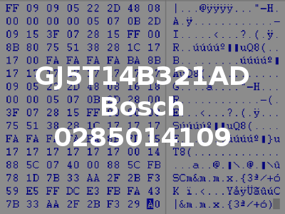 GJ5T14B321AD Bosch 0285014109