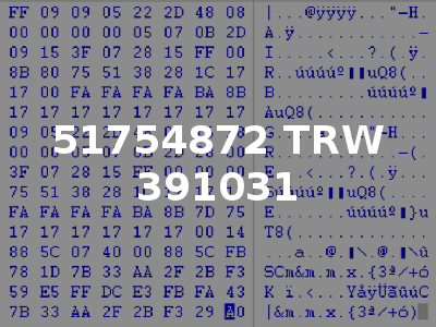 51754872 TRW 391031