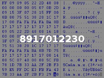 8917012230