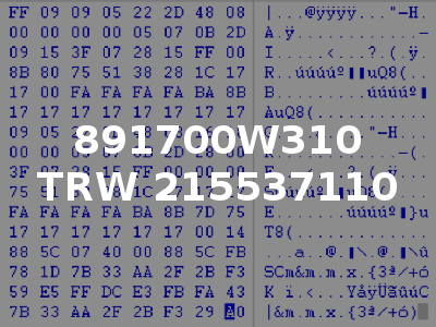 891700W310 TRW 215537110