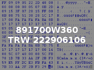 891700W360 TRW 222906106