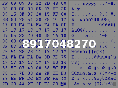 8917048270