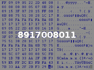 8917008011