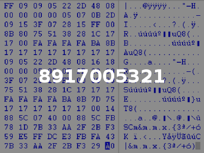 8917005321