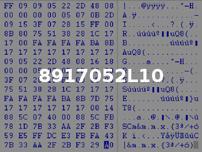 8917052L10