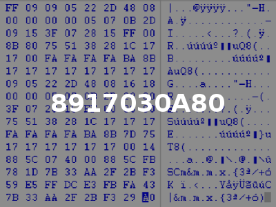 8917030A80