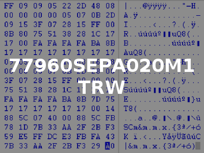 77960SEPA020M1 TRW