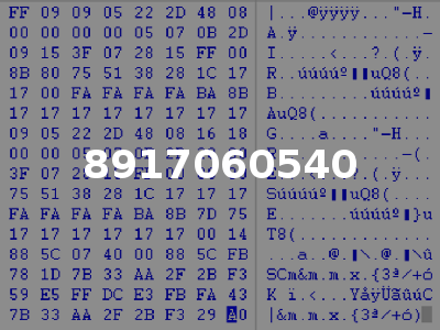 8917060540