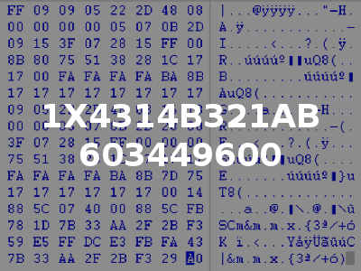 1X4314B321AB 603449600