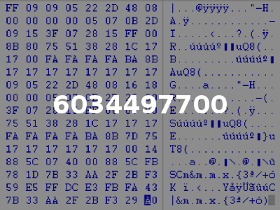 6034497700
