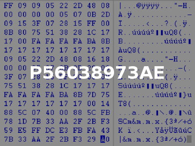 P56038973AE
