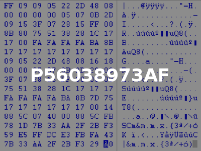 P56038973AF