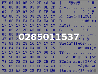0285011537