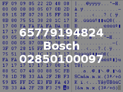 65779194824 Bosch 02850100097