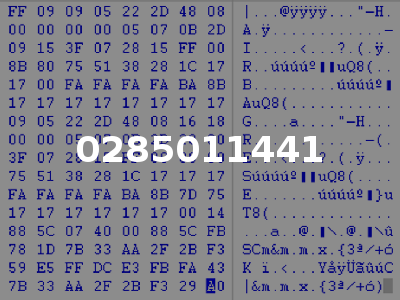 0285011441