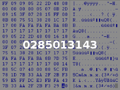 0285013143