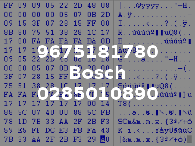 9675181780 Bosch 0285010890