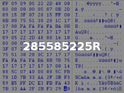 285585225R