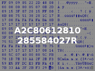 A2C80612810 285584027R