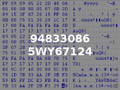 94833086 5WY67124
