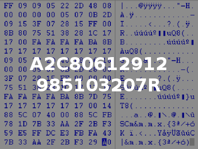 A2C80612912 985103207R