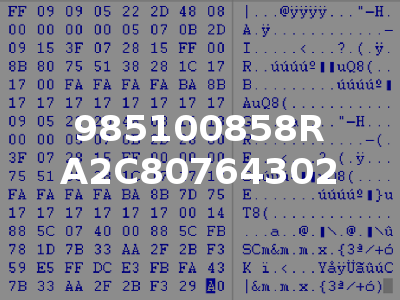 985100858R A2C80764302