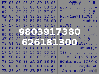 9803917380 626181300