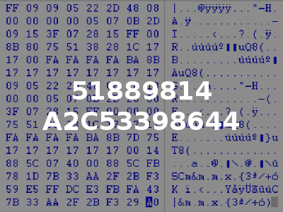 51889814 A2C53398644