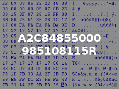 A2C84855000 985108115R