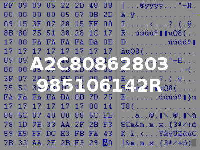 A2C80862803 985106142R