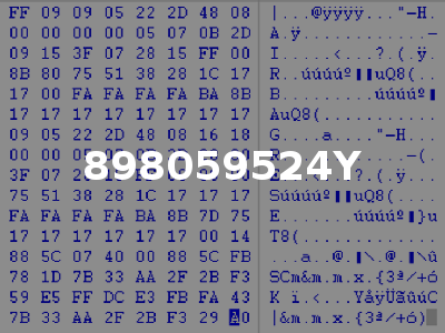 898059524Y