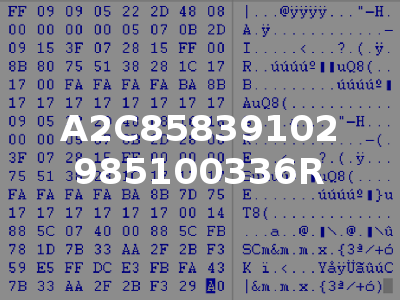 A2C85839102 985100336R