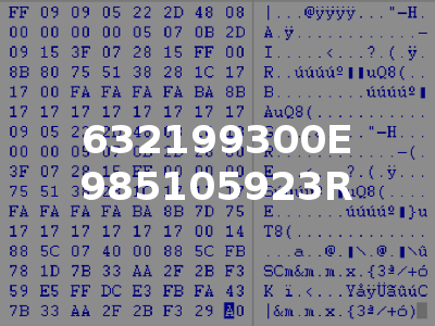 632199300E 985105923R