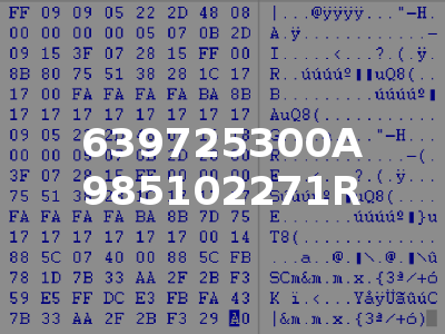 639725300A 985102271R