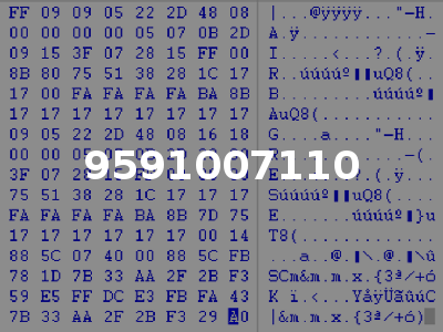 9591007110