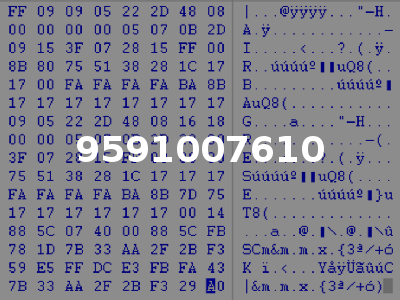 9591007610
