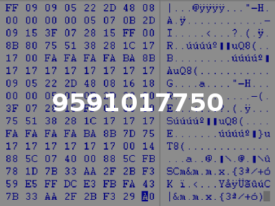 9591017750
