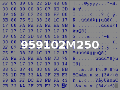 959102M250