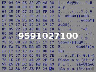 9591027100