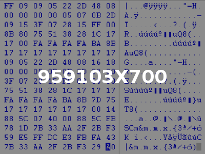 959103X700